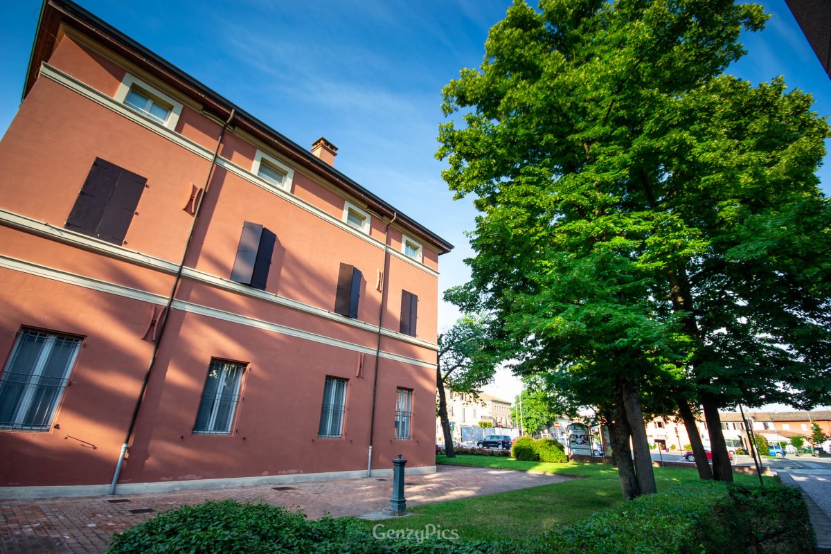 Giardino del Comune di Argelato. Tigli sul lato sud