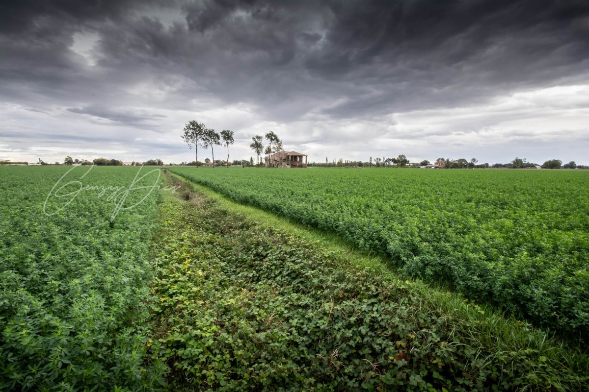 Vecchio casale nella campagna argelatese
