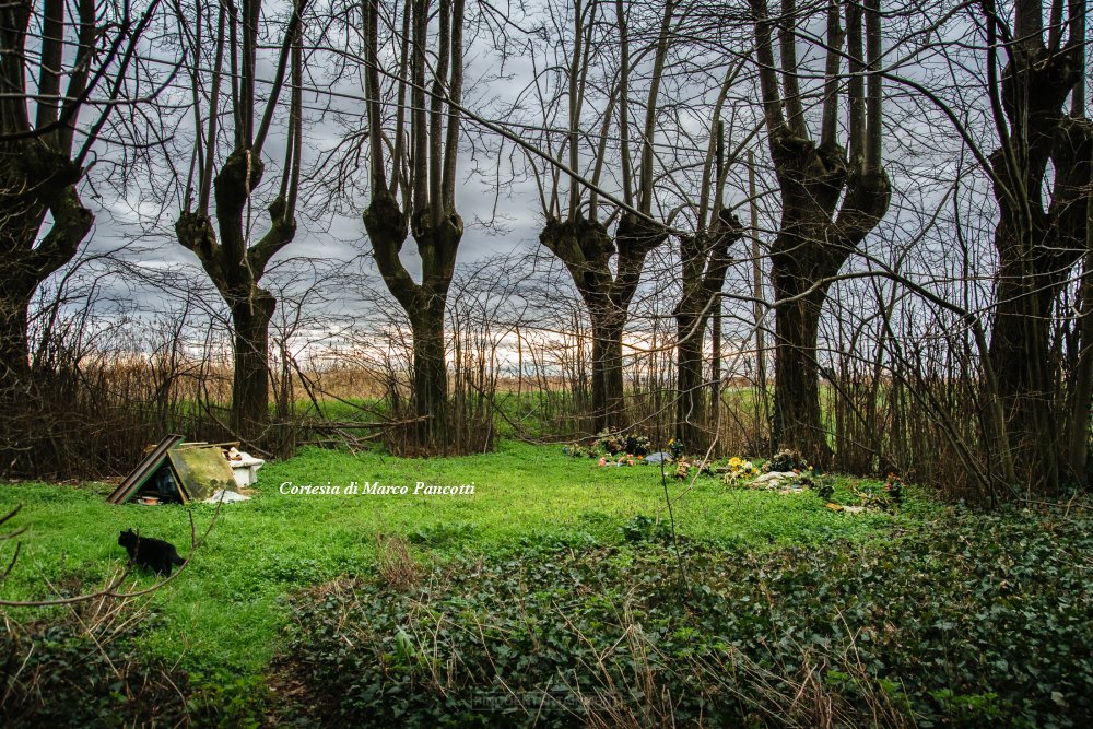 Vecchia chiesa di Pegola Vecchia chiesa di Pegola