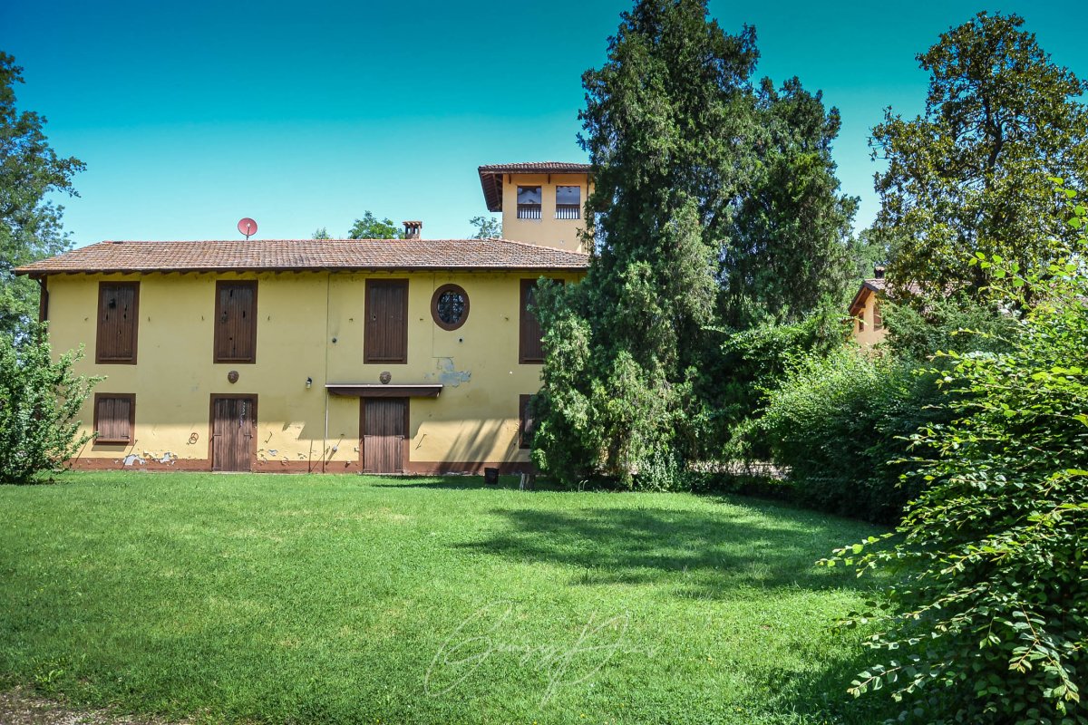 Azienda Agricola Cinquanta