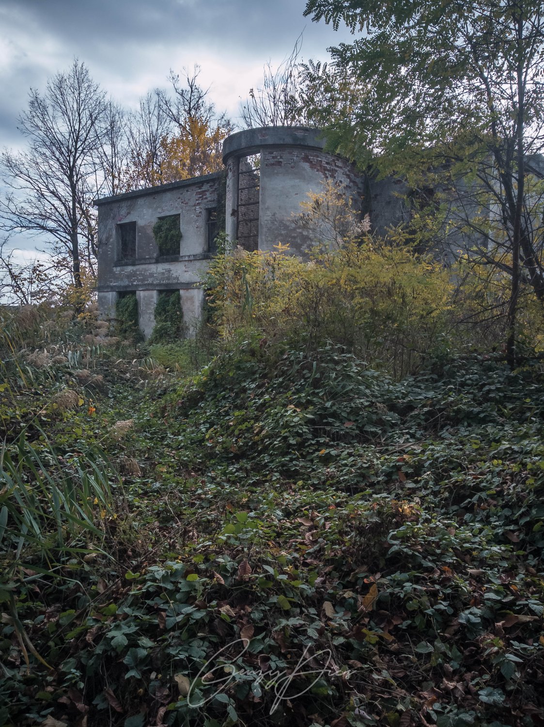 Colonie abbandonate sul fiume Reno