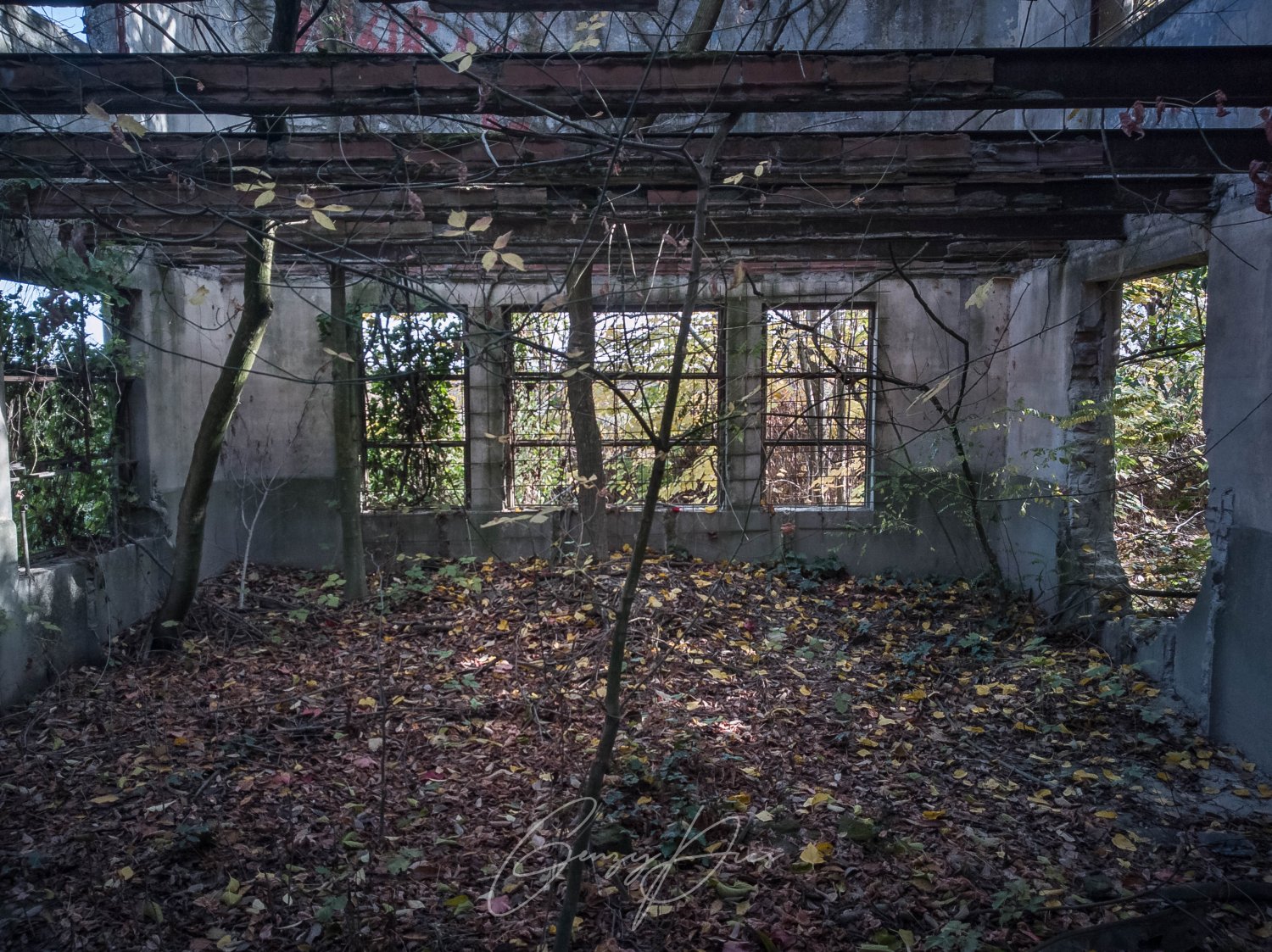 Colonia abbandonata sul fiume Reno