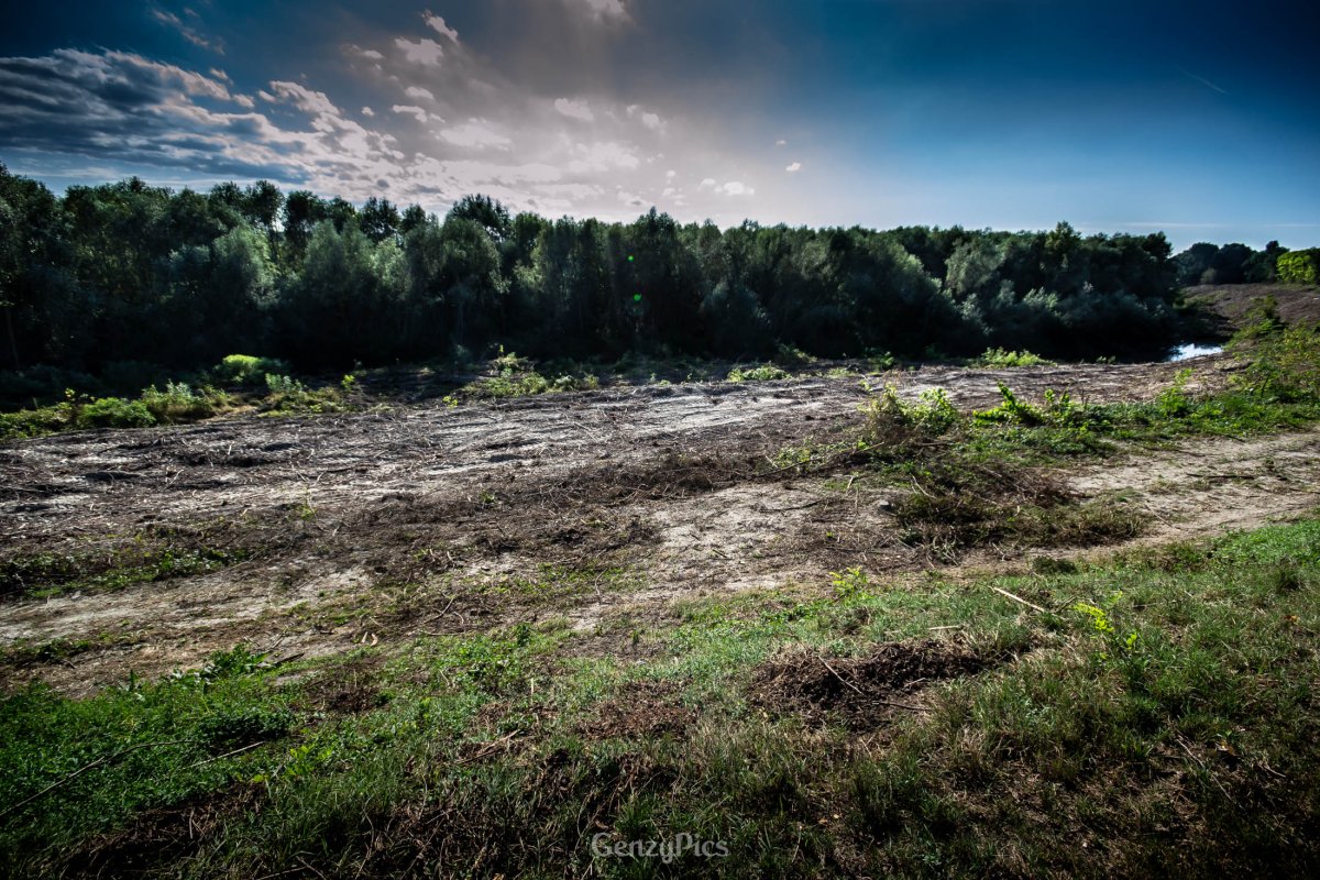 Malacappa, lavori sull'argine del fiume Reno
