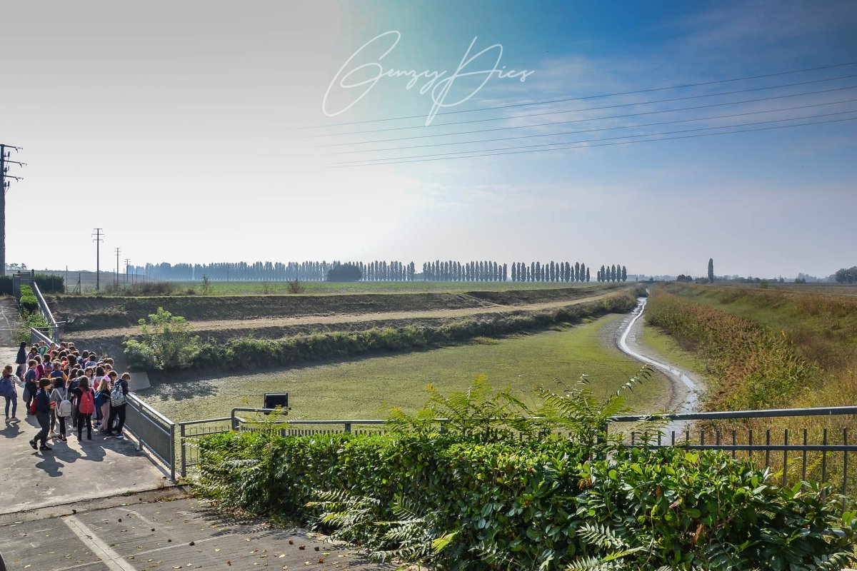 Gli impianti idrovori e il governo delle acque