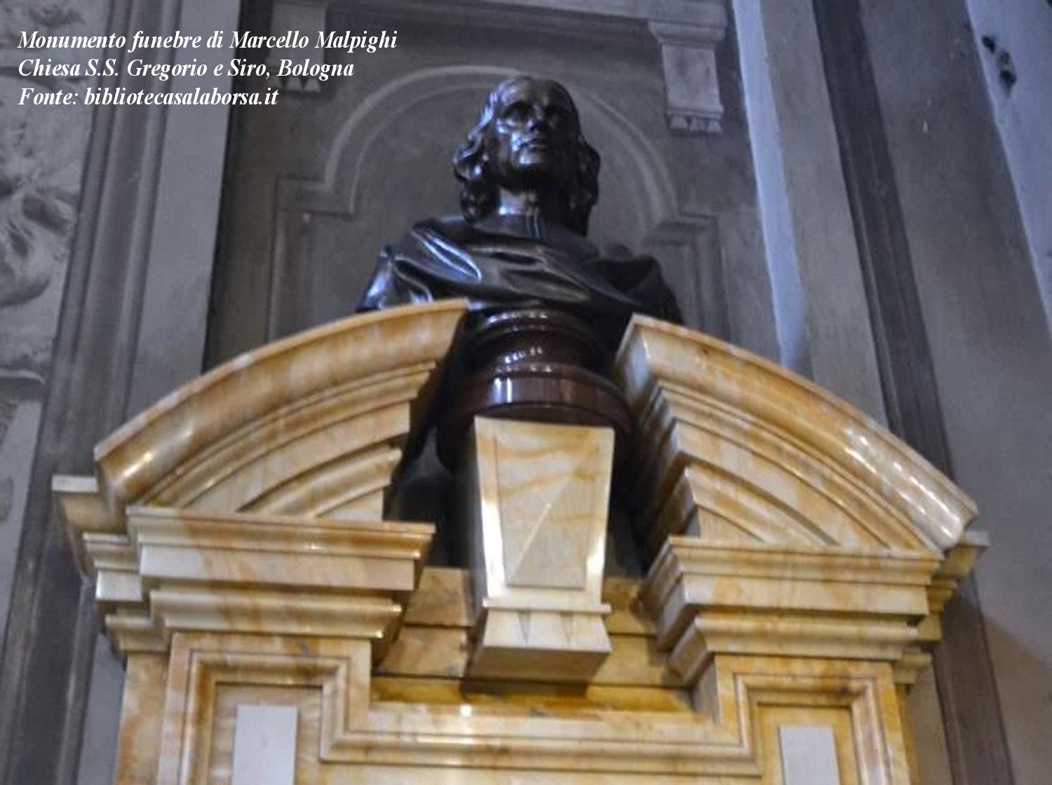 Monumento funebre di Marcello Malpighi, Bologna Monumento funebre di Marcello Malpighi, Bologna