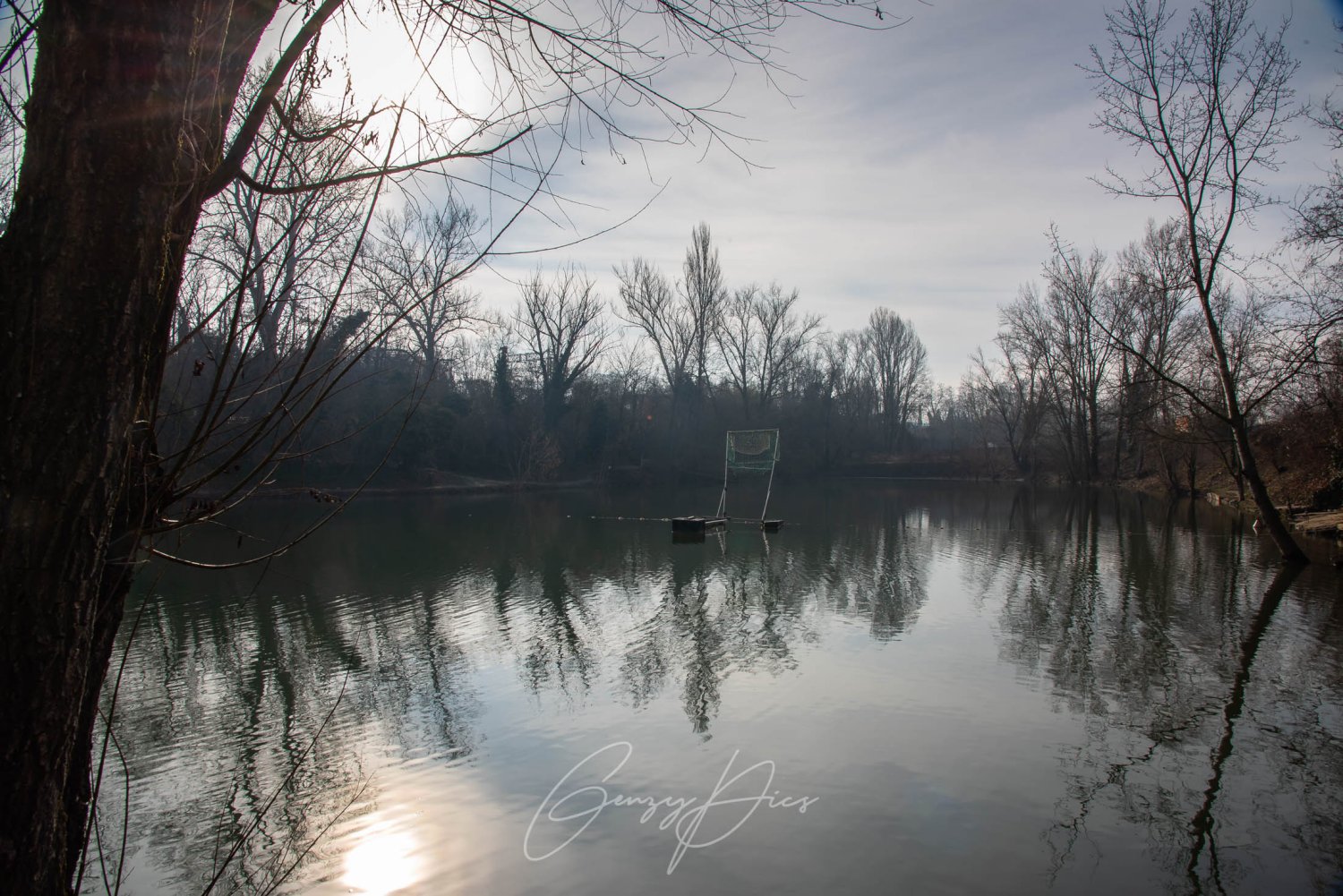 Oasi del Lagoverde Bologna