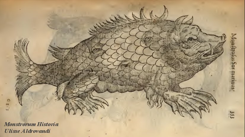 Monstrorum Historia Ulisse Aldrovandi