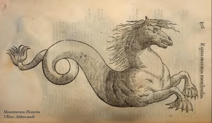 Monstrorum Historia Ulisse Aldrovandi