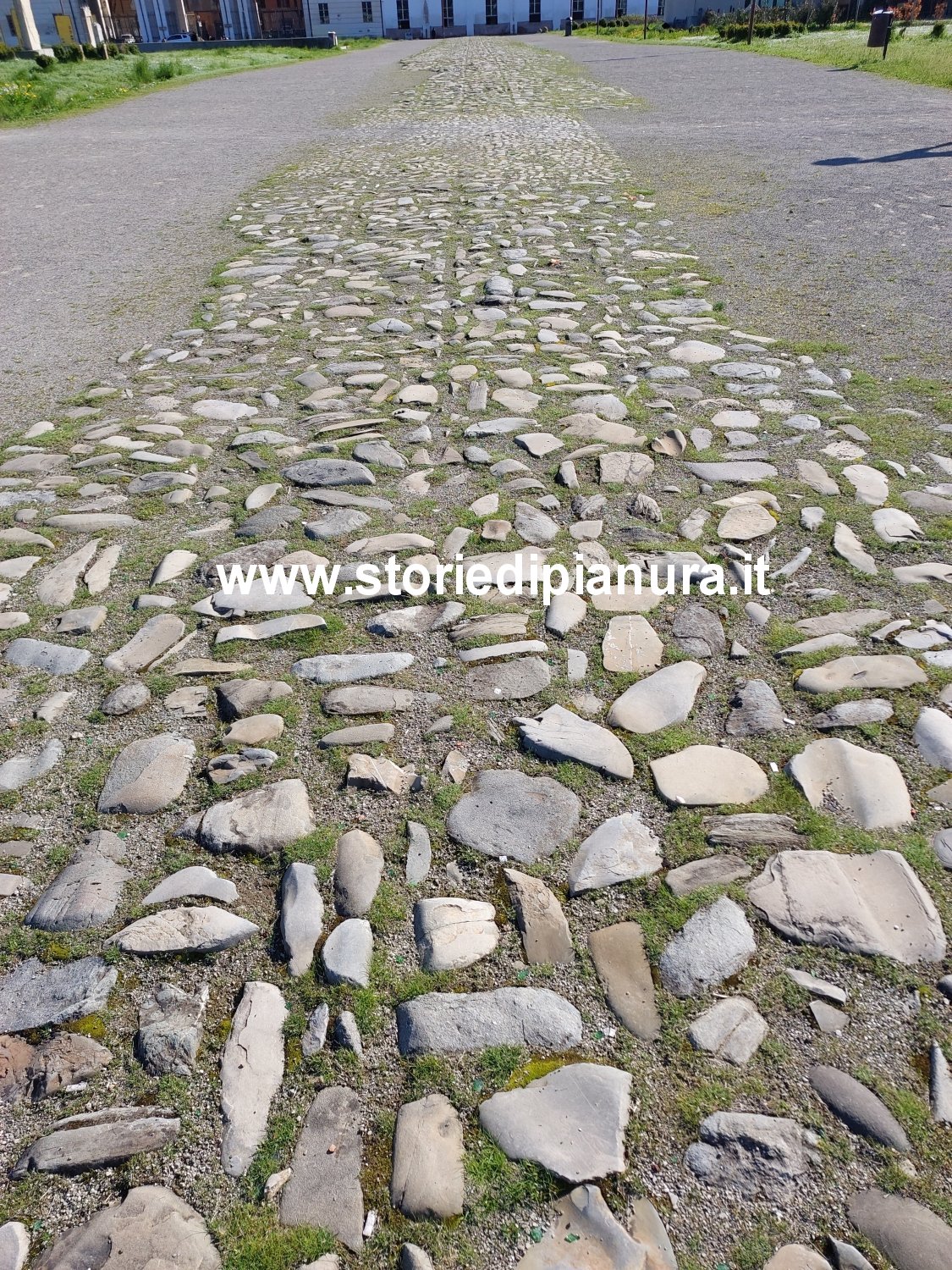 Strada romana di Mutina/Modena
