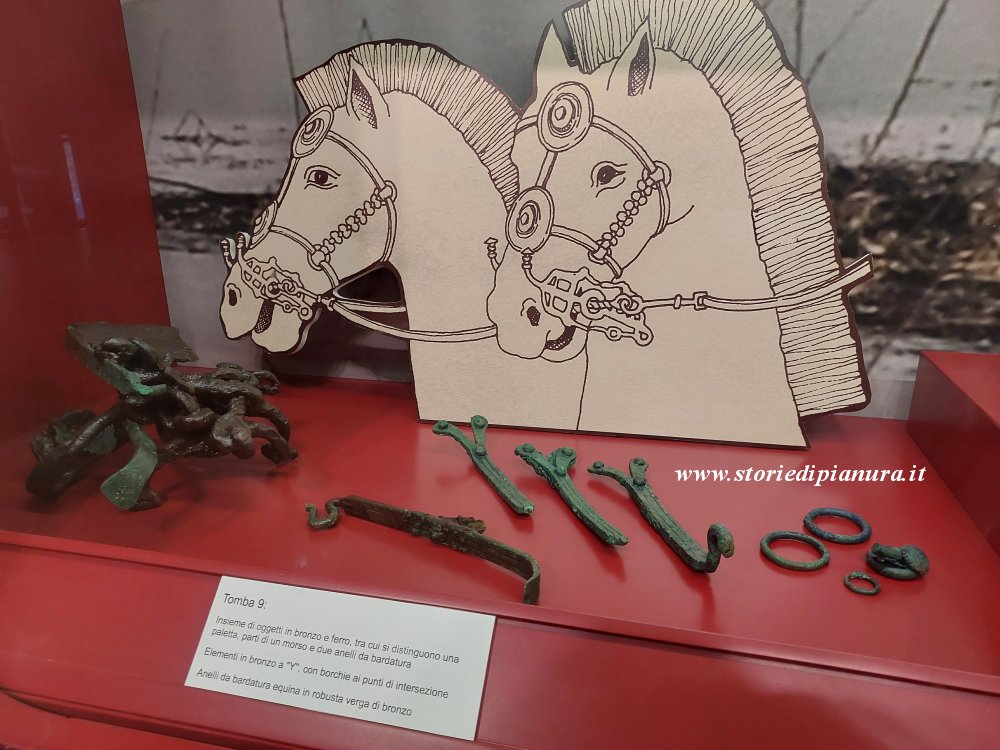 Villanoviani: morsi ed anelli per bardatura equina