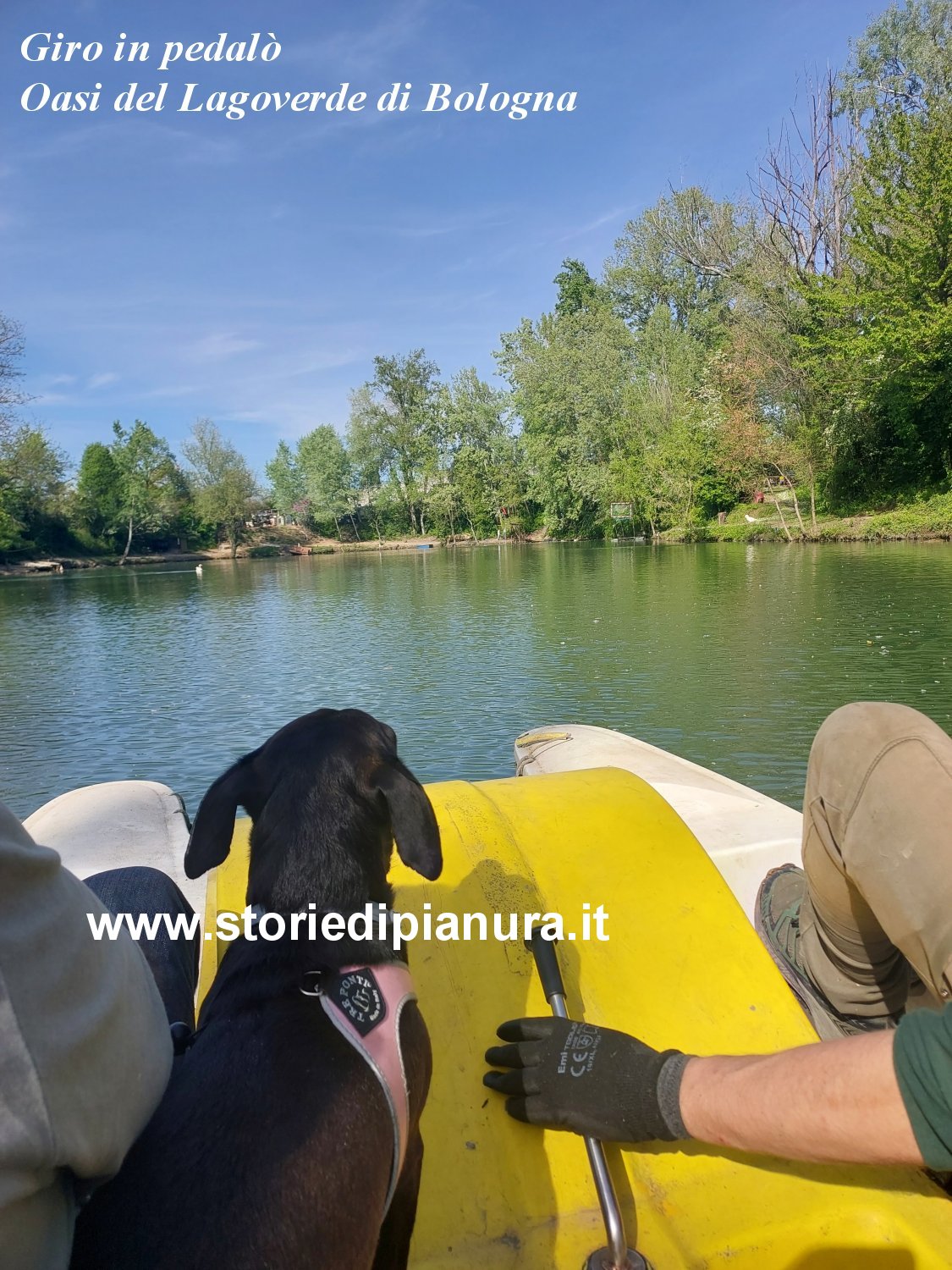 Giro in pedalò nel lago dell'oasi
