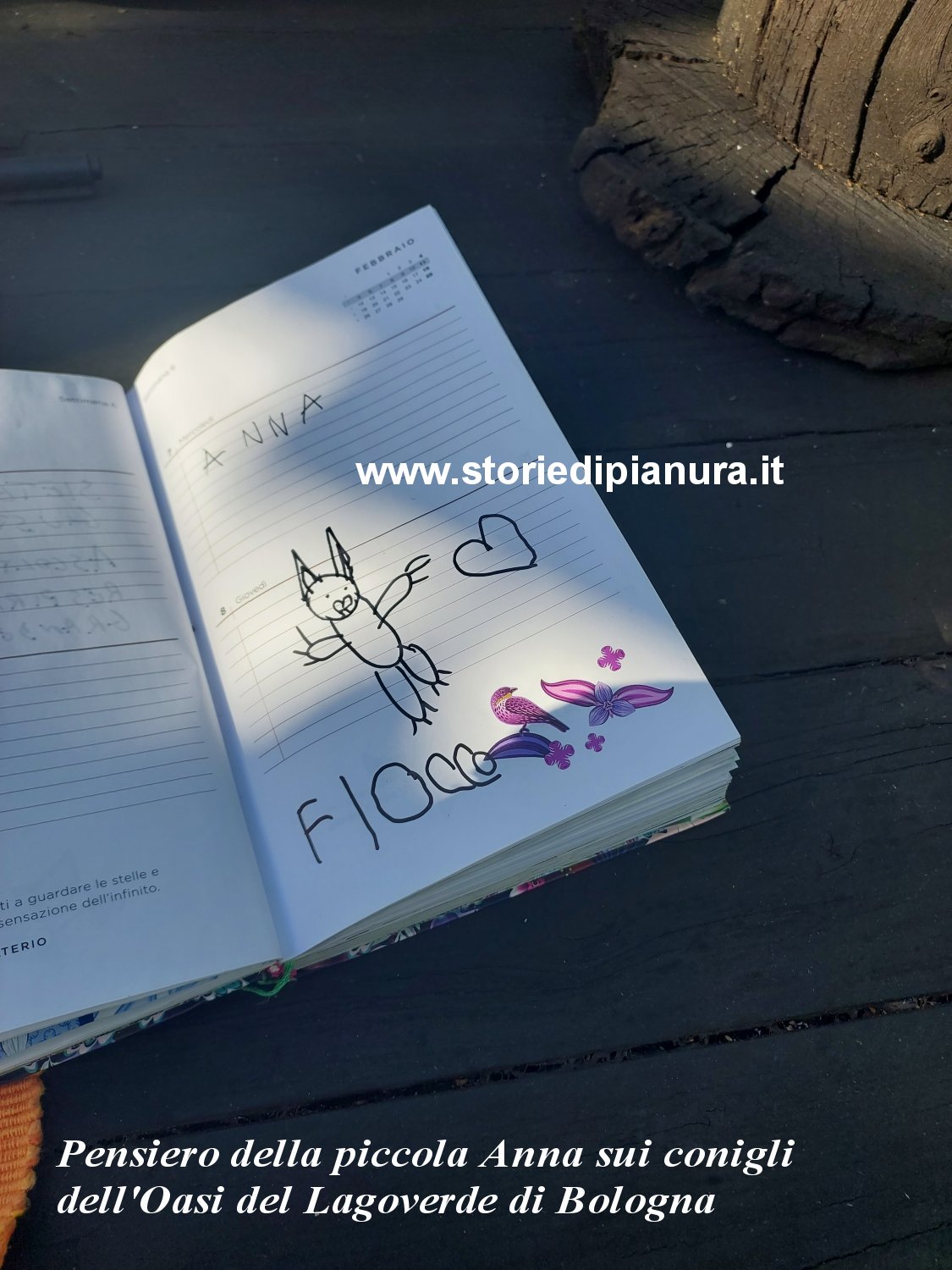 Disegno di Anna che raffigura Fiocco di Neve