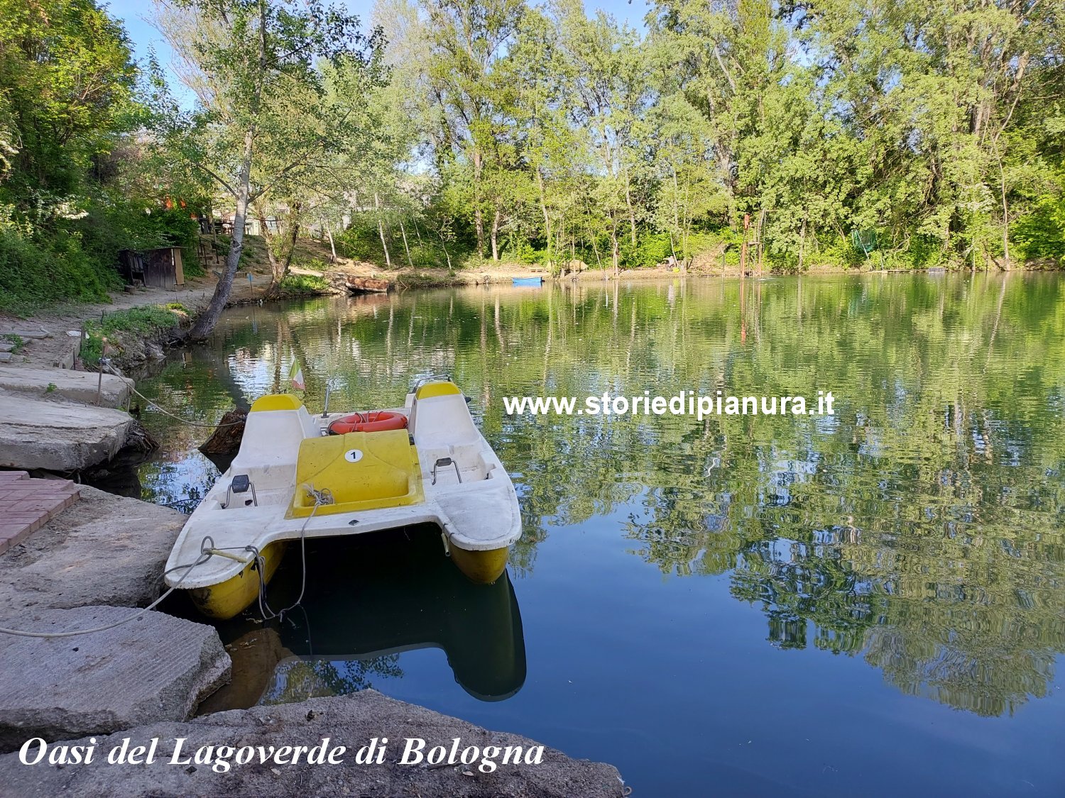 Oasi del Lagoverde, Bologna