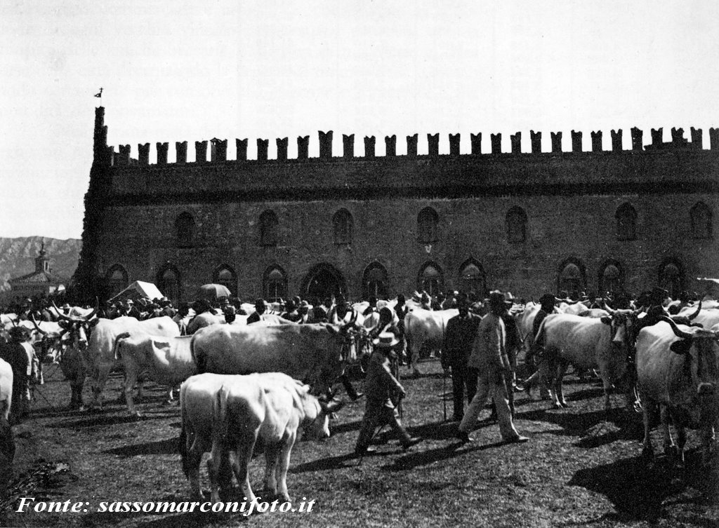 Fiera del bestiame a Palazzo De Rossi