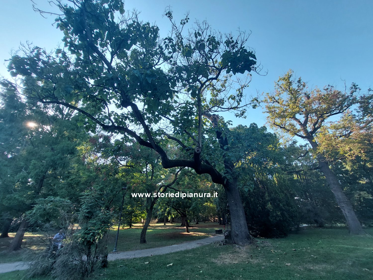 Parco Massari, Ferrara