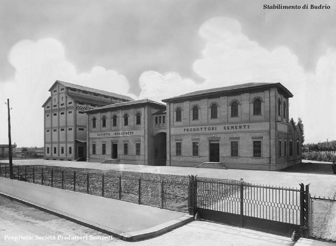 Stabilimento di Budrio, Bologna, selezione sementi e silos, 1928