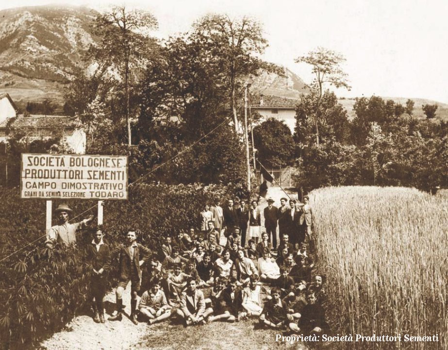 Società Produttori Sementi Bologna