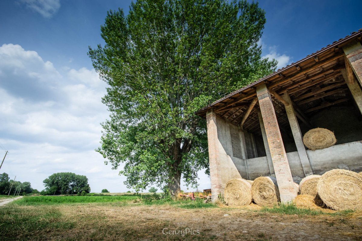 Casa abbandonata nella Golena del Reno