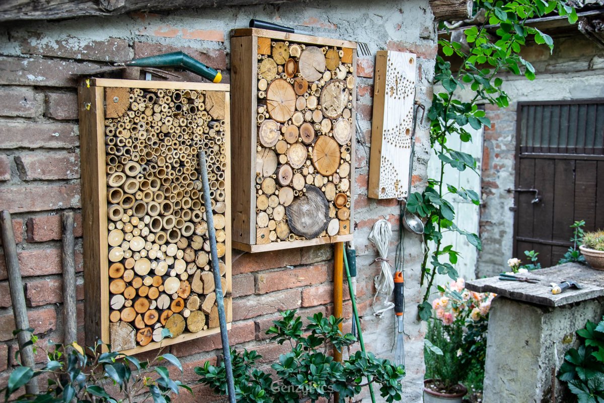 Bug Hotel - Casette per insetti della Tenuta Arpinati