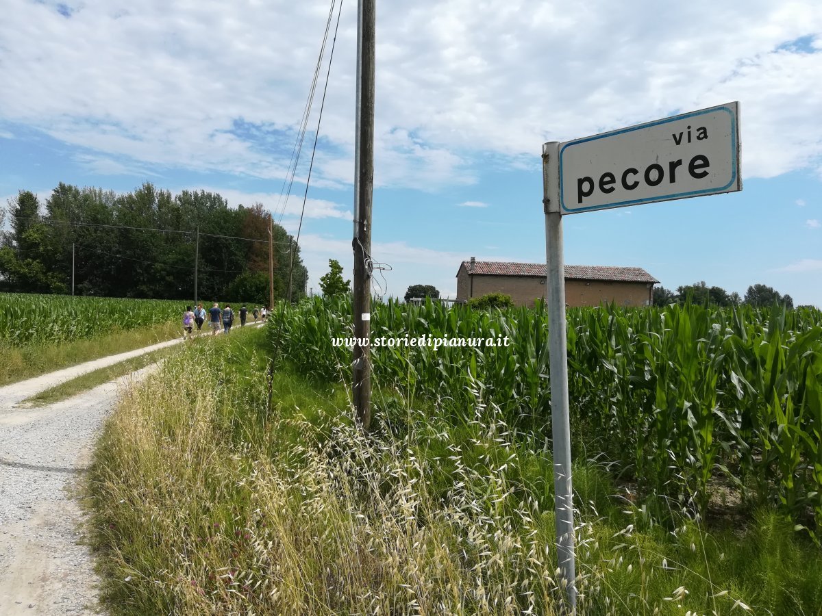 Passeggiata sulla via Franchigena di Cento Passeggiata sulla via Franchigena di Cento