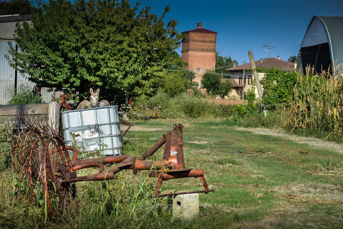 Torre dei Marsigli Mascarino Torre dei Marsigli Mascarino