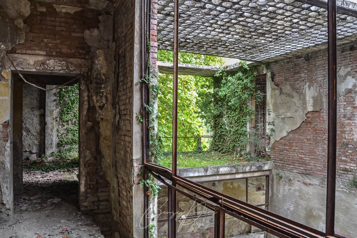 Villa Muggia abbandonata, interno