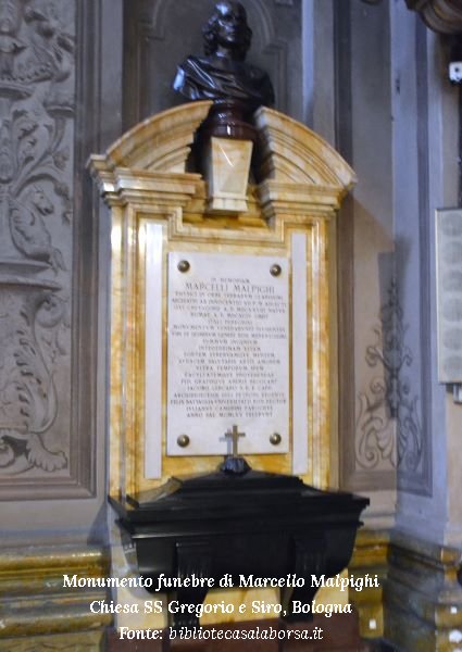 Monumento funebre di Marcello Malpighi, Chiesa SS Gregorio e Siro