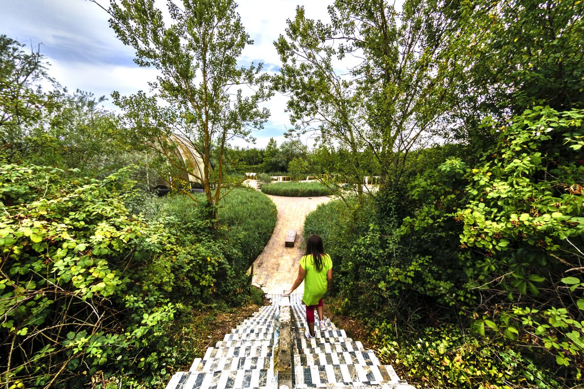 Woodpecker abbandonata