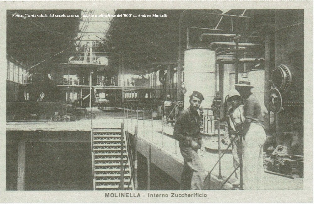 Zuccherificio Molinella - prima campagna 1924