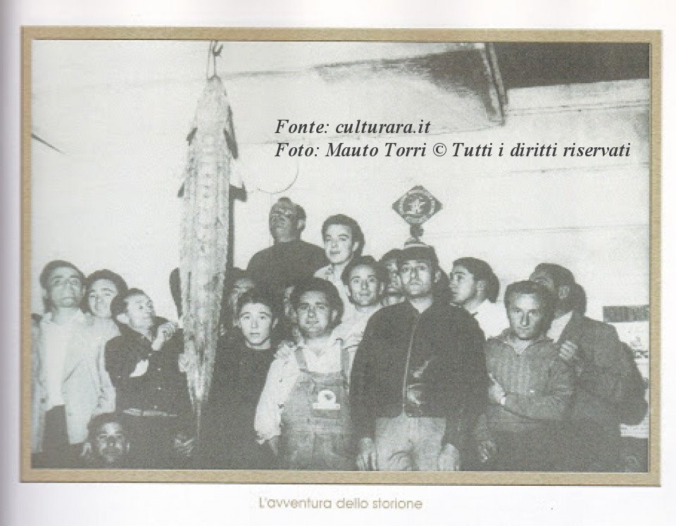 I pescatori del Lippo con lo storione nel 1959
