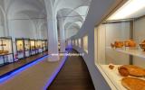 Il Museo del Delta Antico di Comacchio: un viaggio nel tempo tra le acque del Po