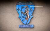 Dallo stemma dei Monari alla Partecipanza Agraria di Cento