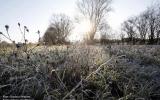 Improvvisati viaggi invernali nelle campagne del bolognese e ferrarese