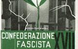 Le Tessere del Fascismo