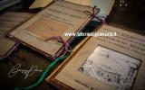 I progetti dell'Acquedotto Renano
